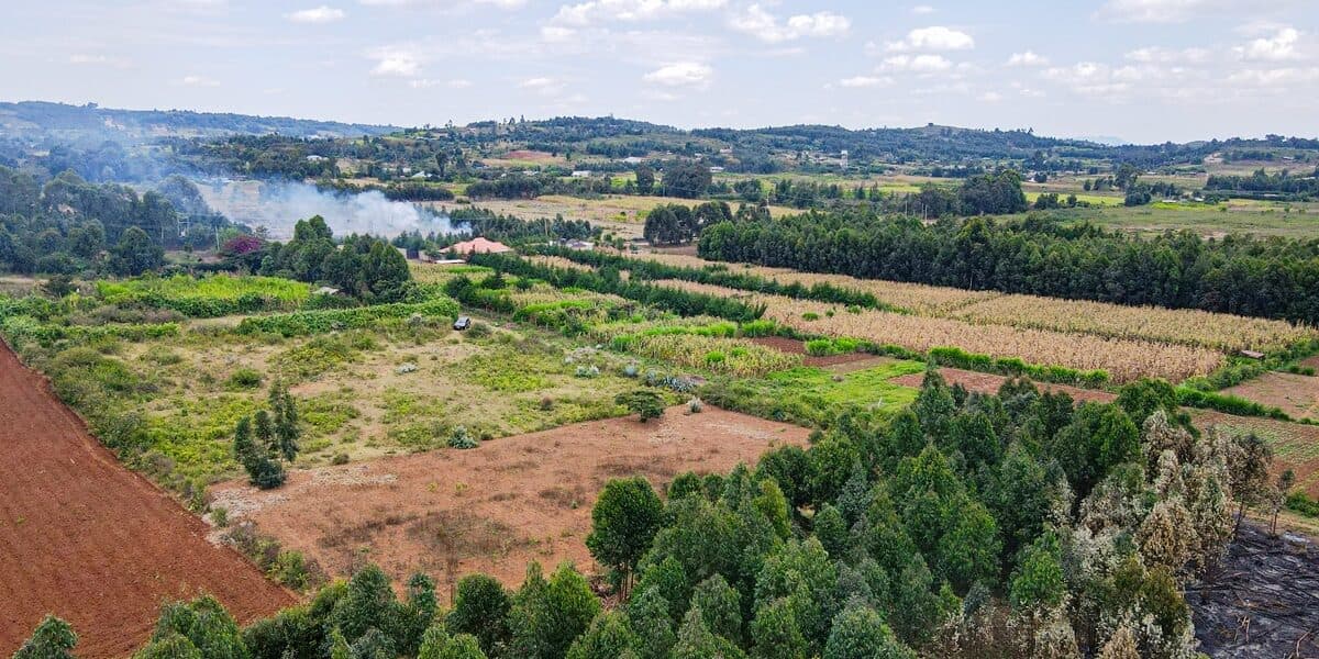PRIME PLOT FOR SALE – KIKUYU, KAMANGU