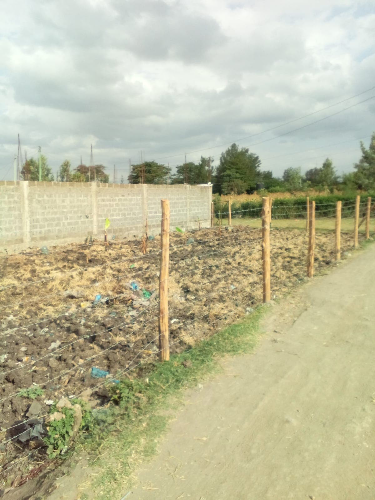 PLOT image 2