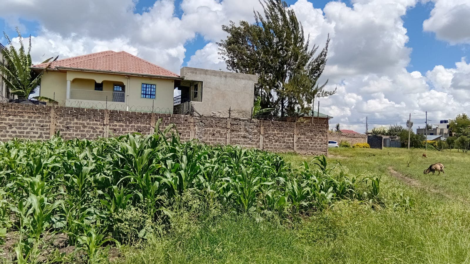 PRIME 40 BY 80 PLOT FOR SALE image 3