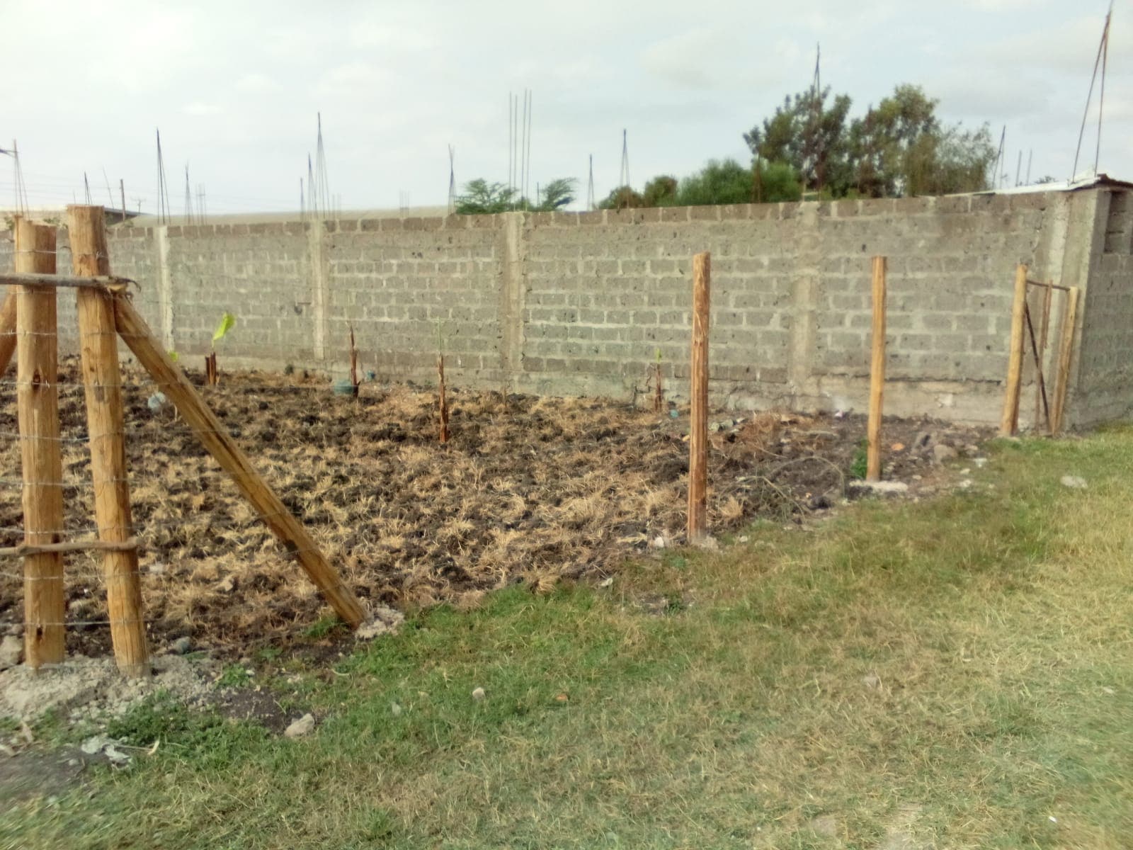 PLOT image 4