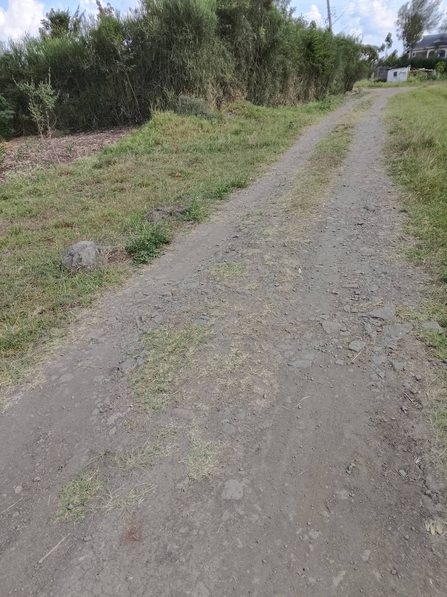 PRIME 100×100 PLOT FOR SALE – RUAI/KAMULU image 3