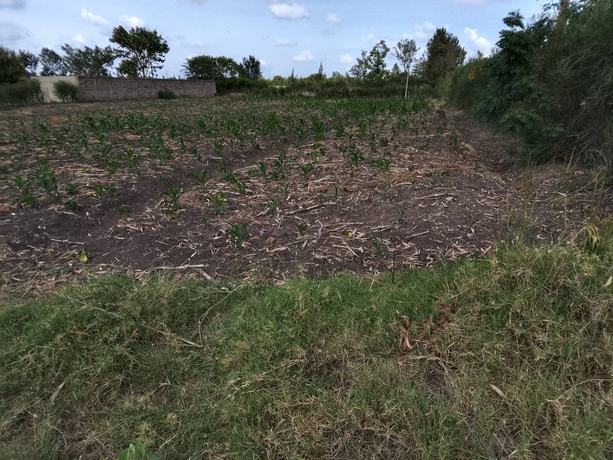 PRIME 100×100 PLOT FOR SALE – RUAI/KAMULU