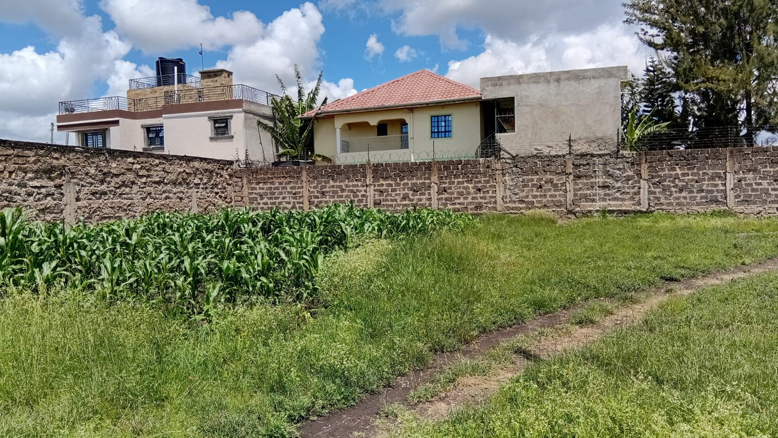 PRIME 40 BY 80 PLOT FOR SALE image 2