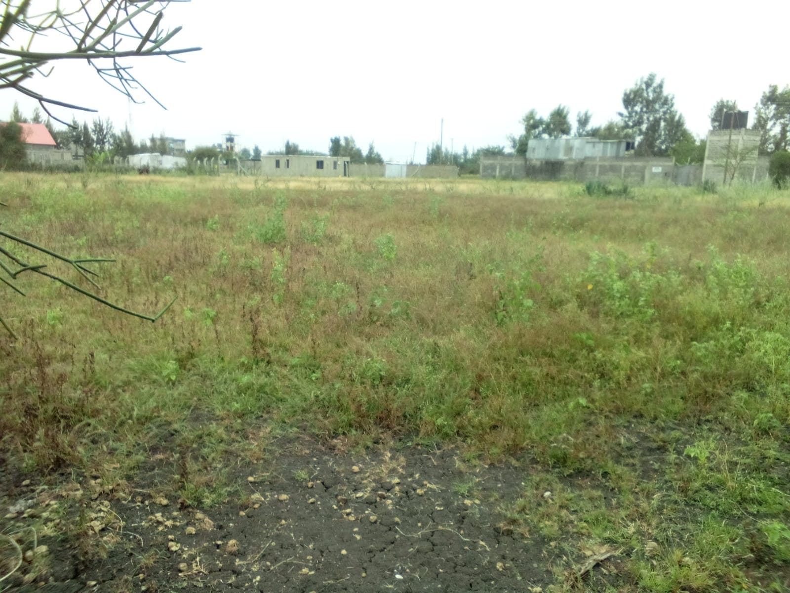 PLOT FOR SALE image 3