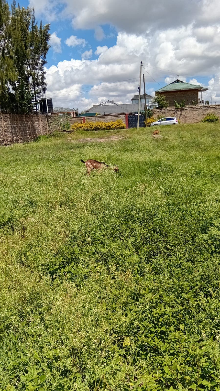 PRIME 40 BY 80 PLOT FOR SALE