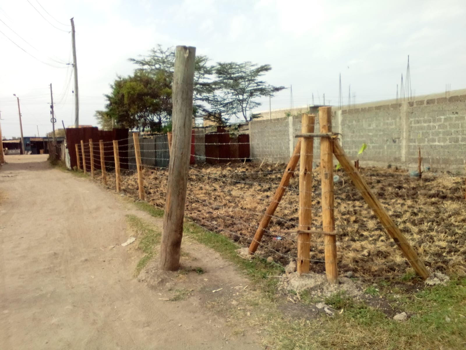 PLOT image 3