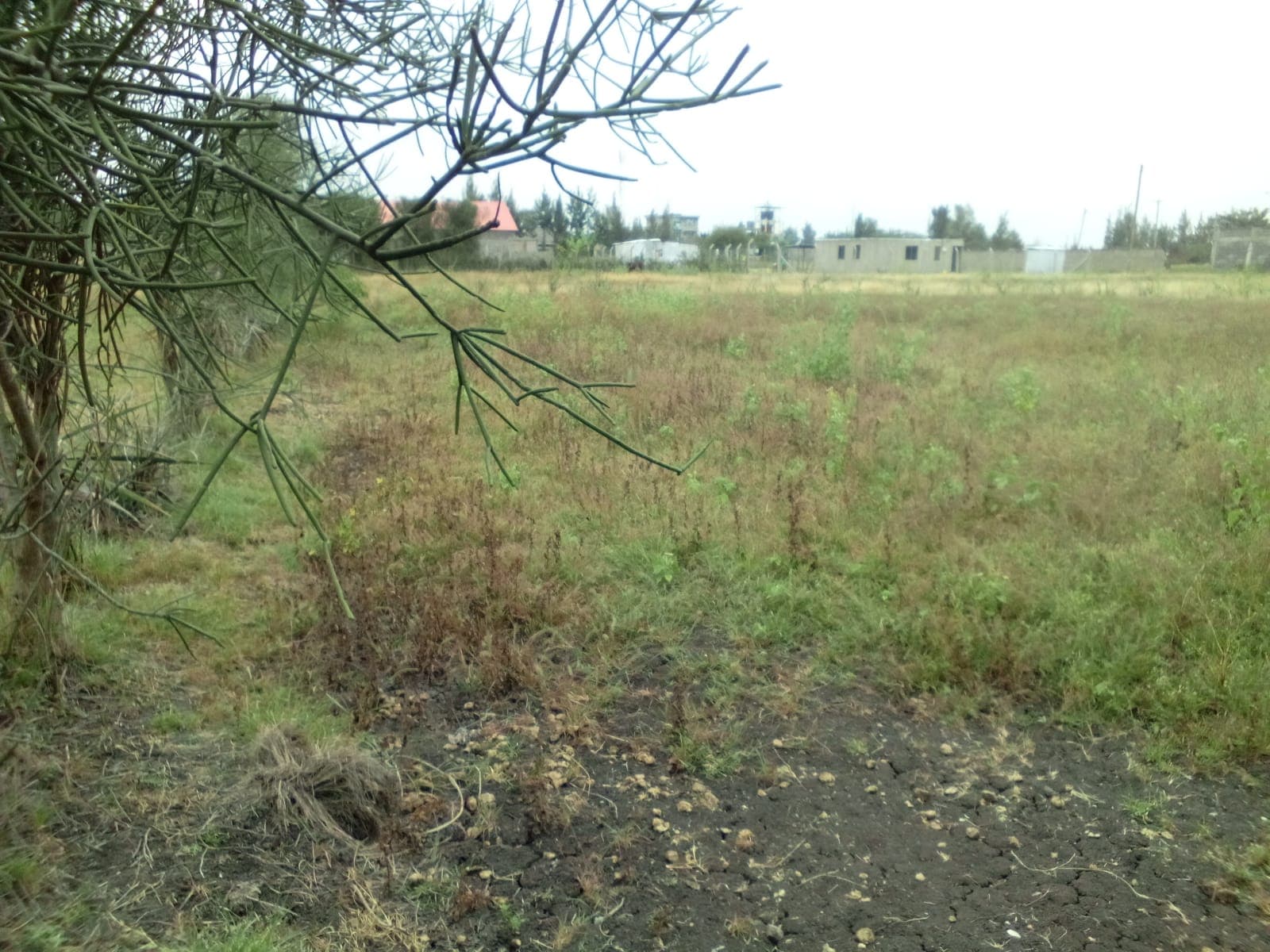 PLOT FOR SALE image 4