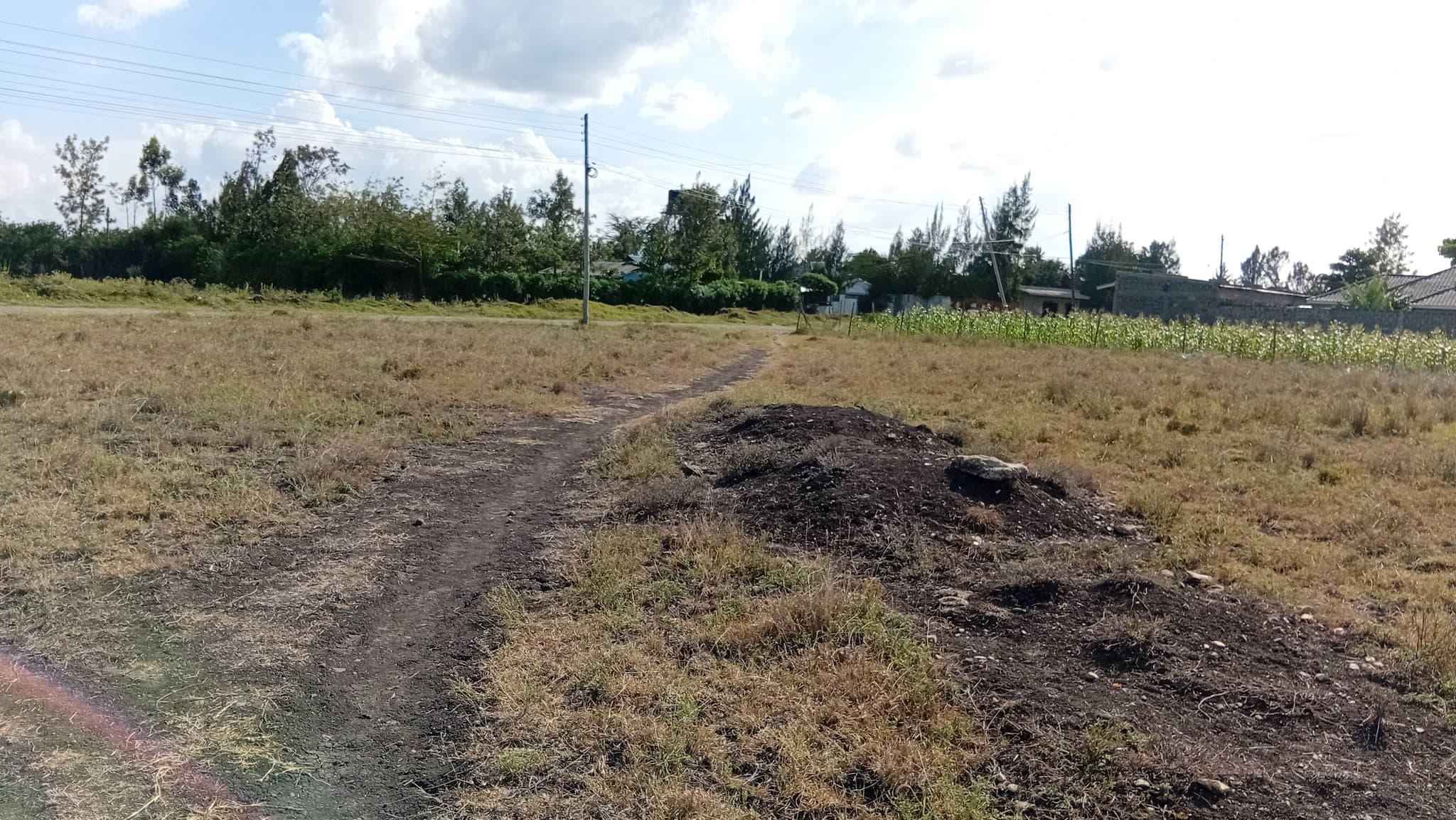 PRIME 100×100 PLOTS FOR SALE – RUAI_GITUAMBA image 4