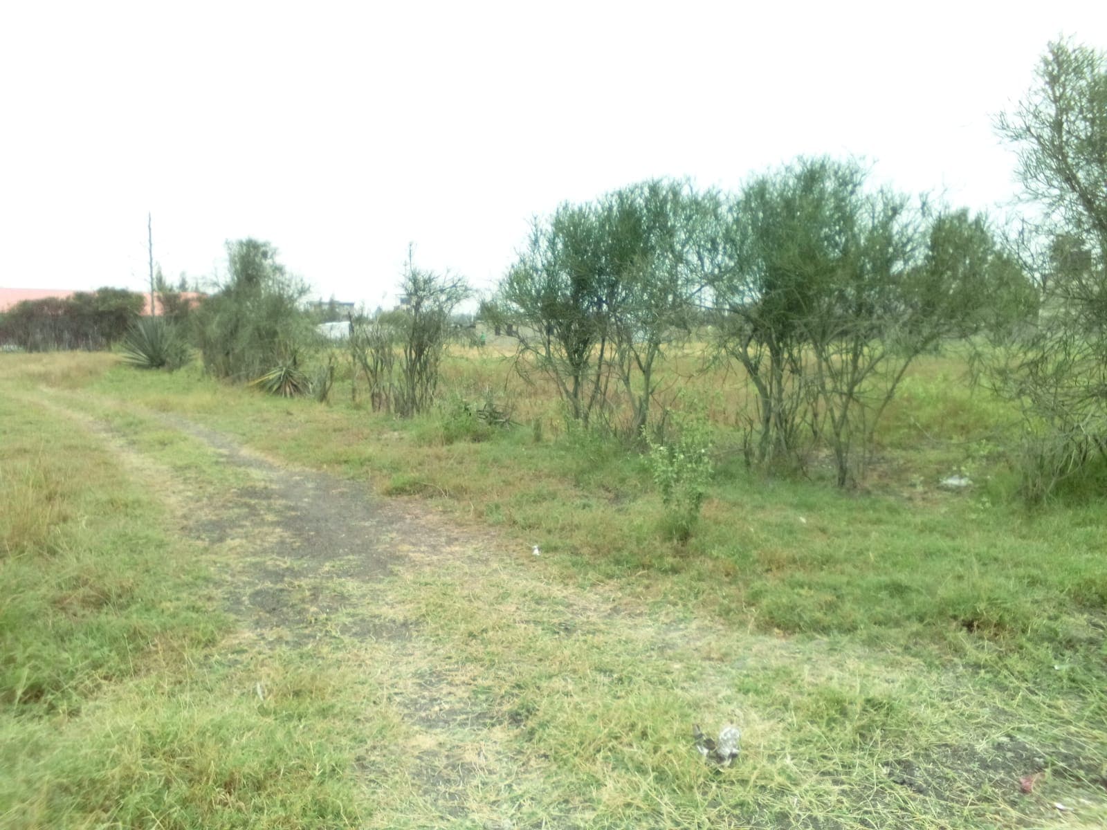 PLOT FOR SALE