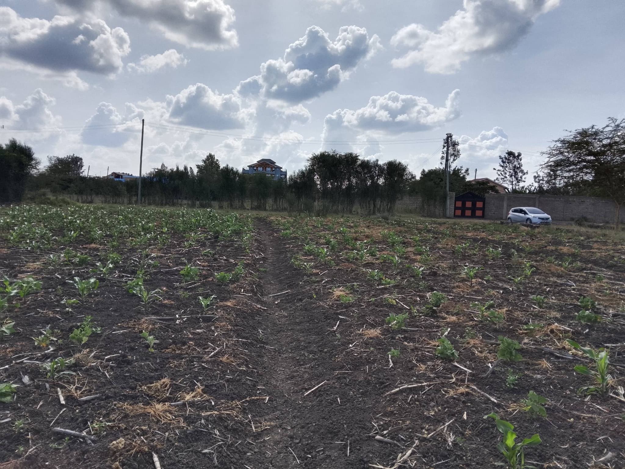 PRIME 100×100 PLOT FOR SALE – RUAI/KAMULU image 2